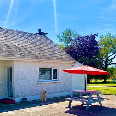 Nolans Organic Farm Villa Wexford Exterior photo