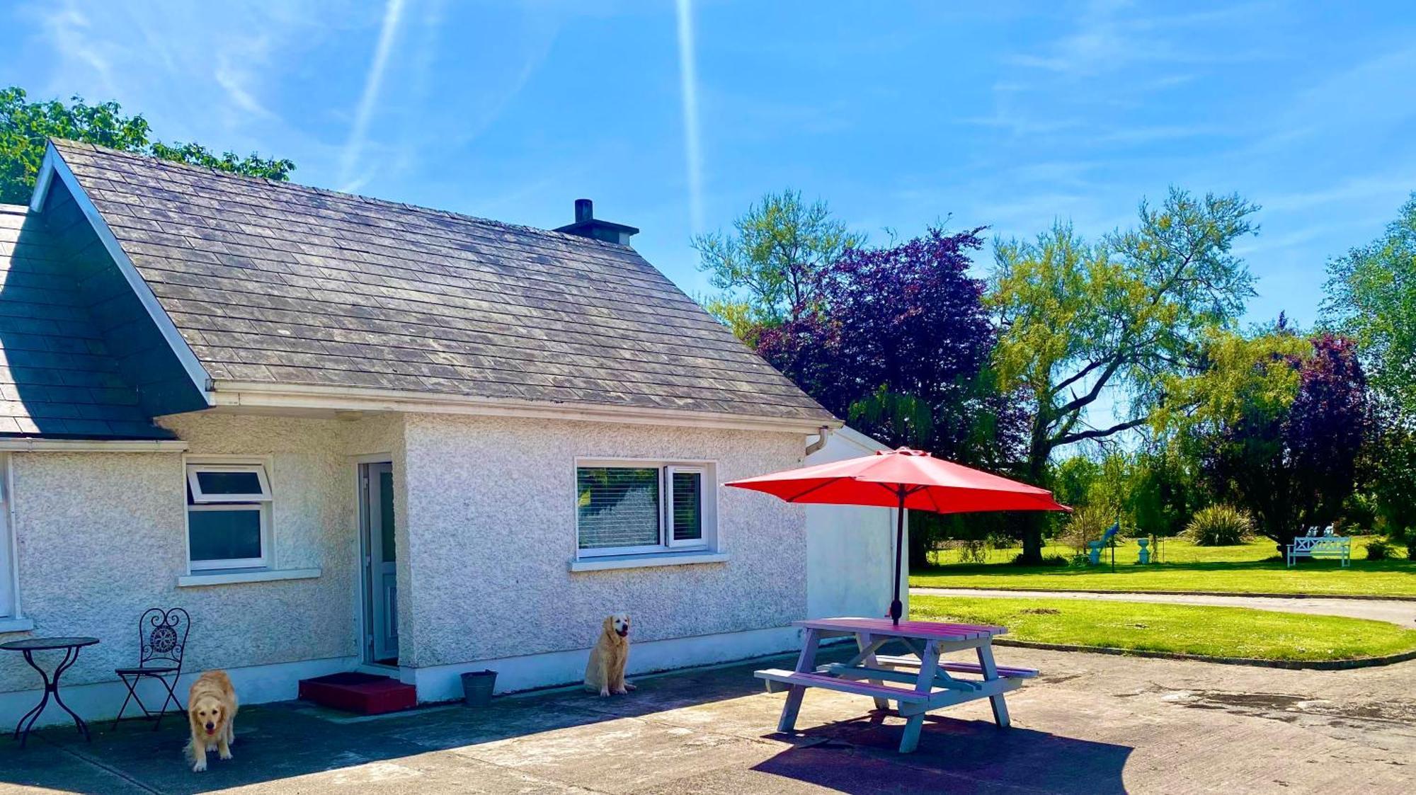 Nolans Organic Farm Villa Wexford Exterior photo